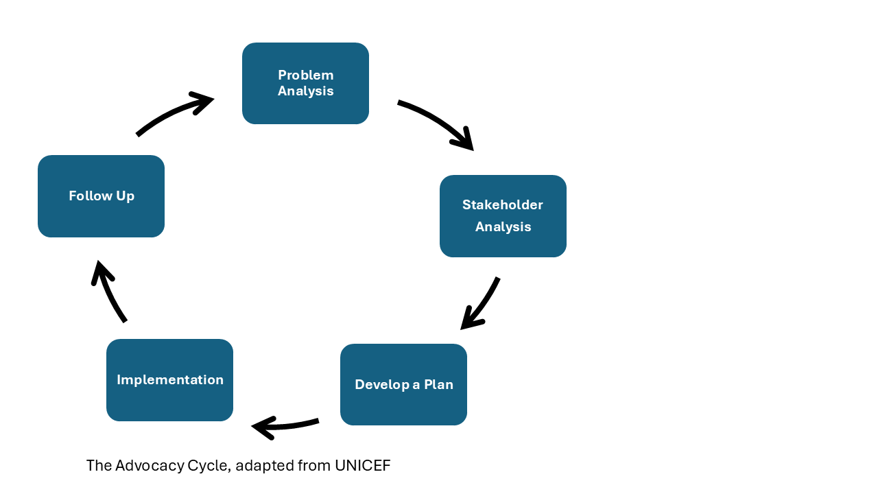 Advocacy Cycle